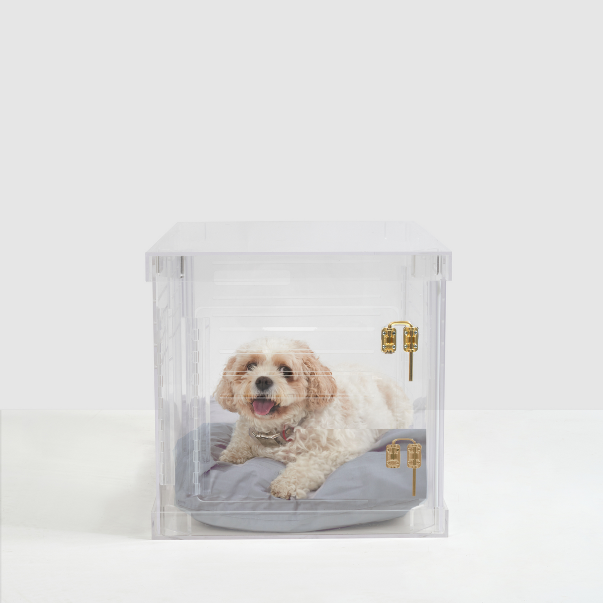 Plexiglass store dog crate