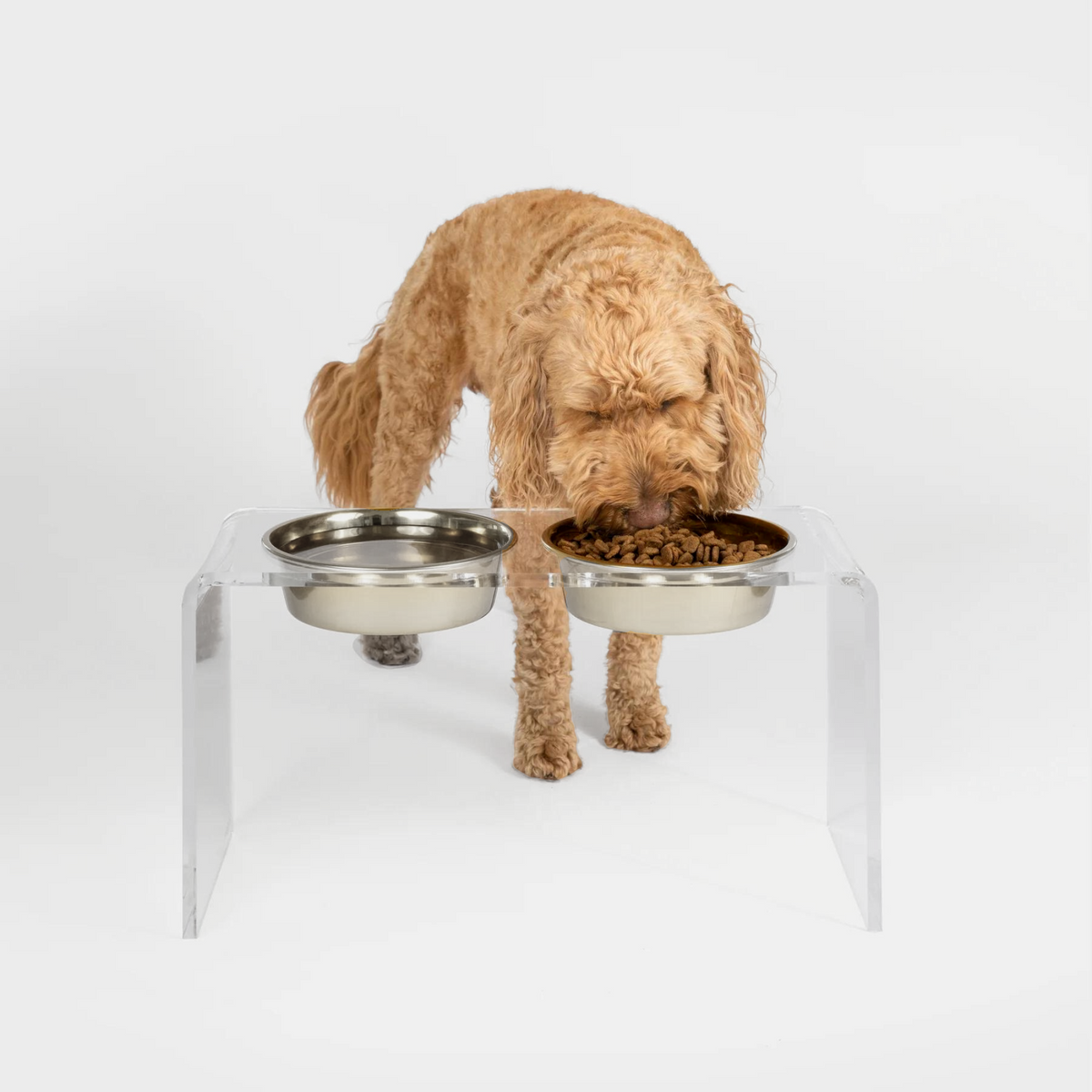 Clear Single Dog Bowl Feeder