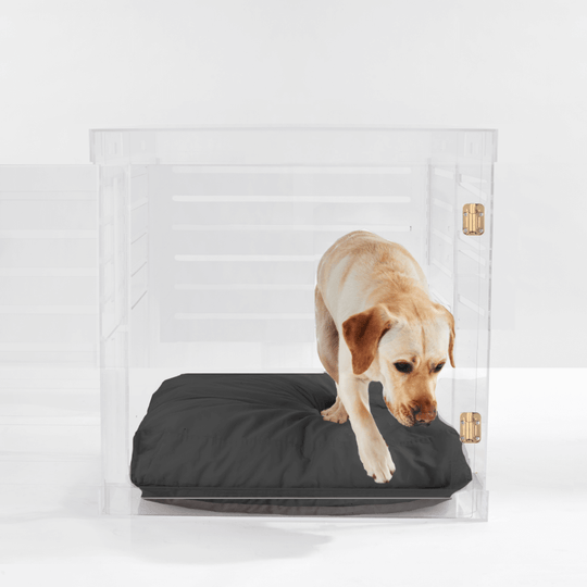 Large Crate (Gold Latch)