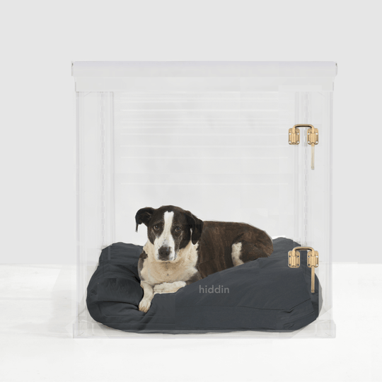 Large Crate (Gold Latch)