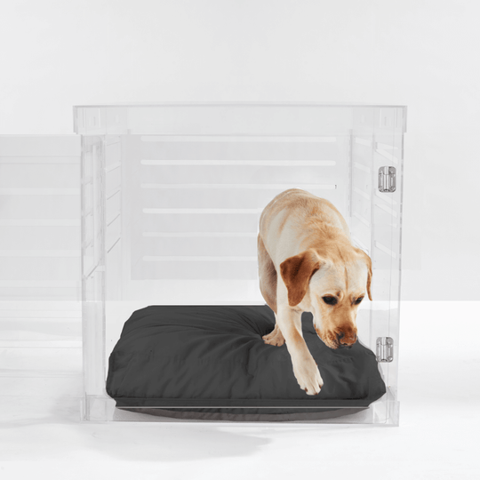 Large Crate (Silver Latch)