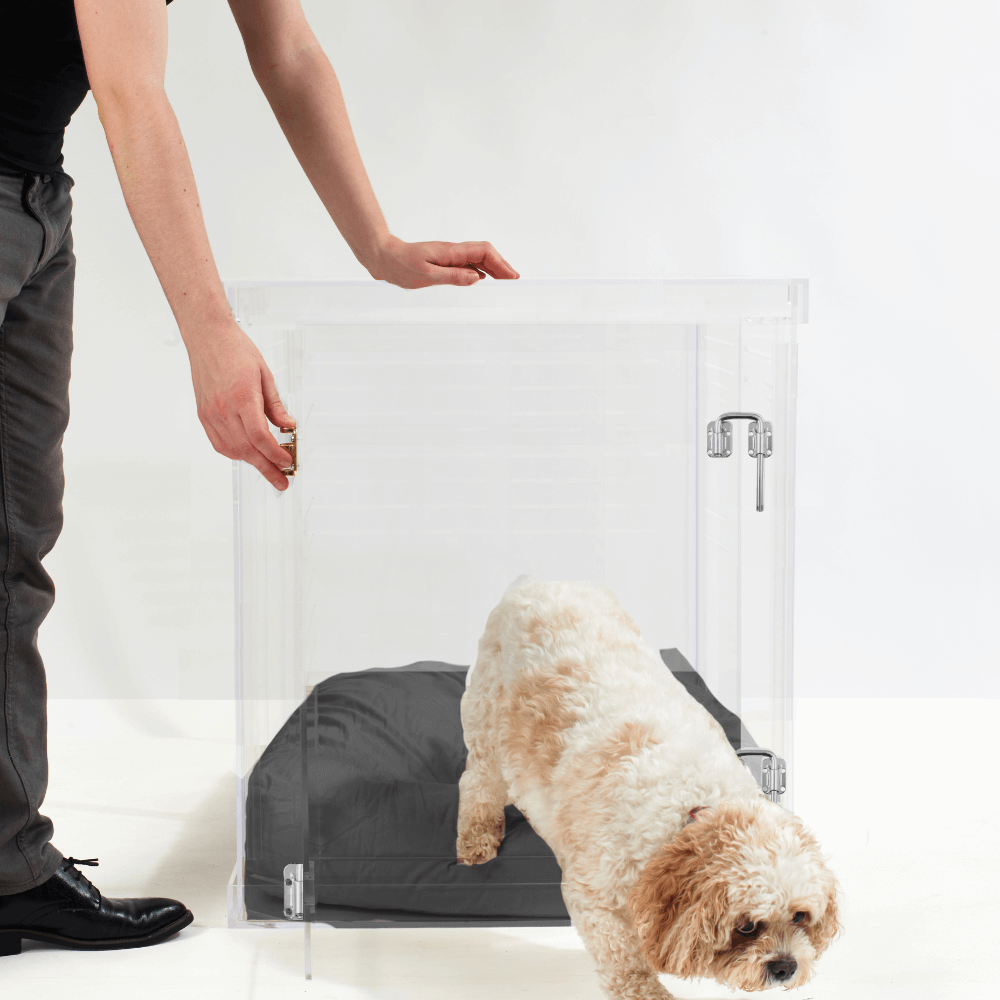 Medium Crate (Silver Latch)