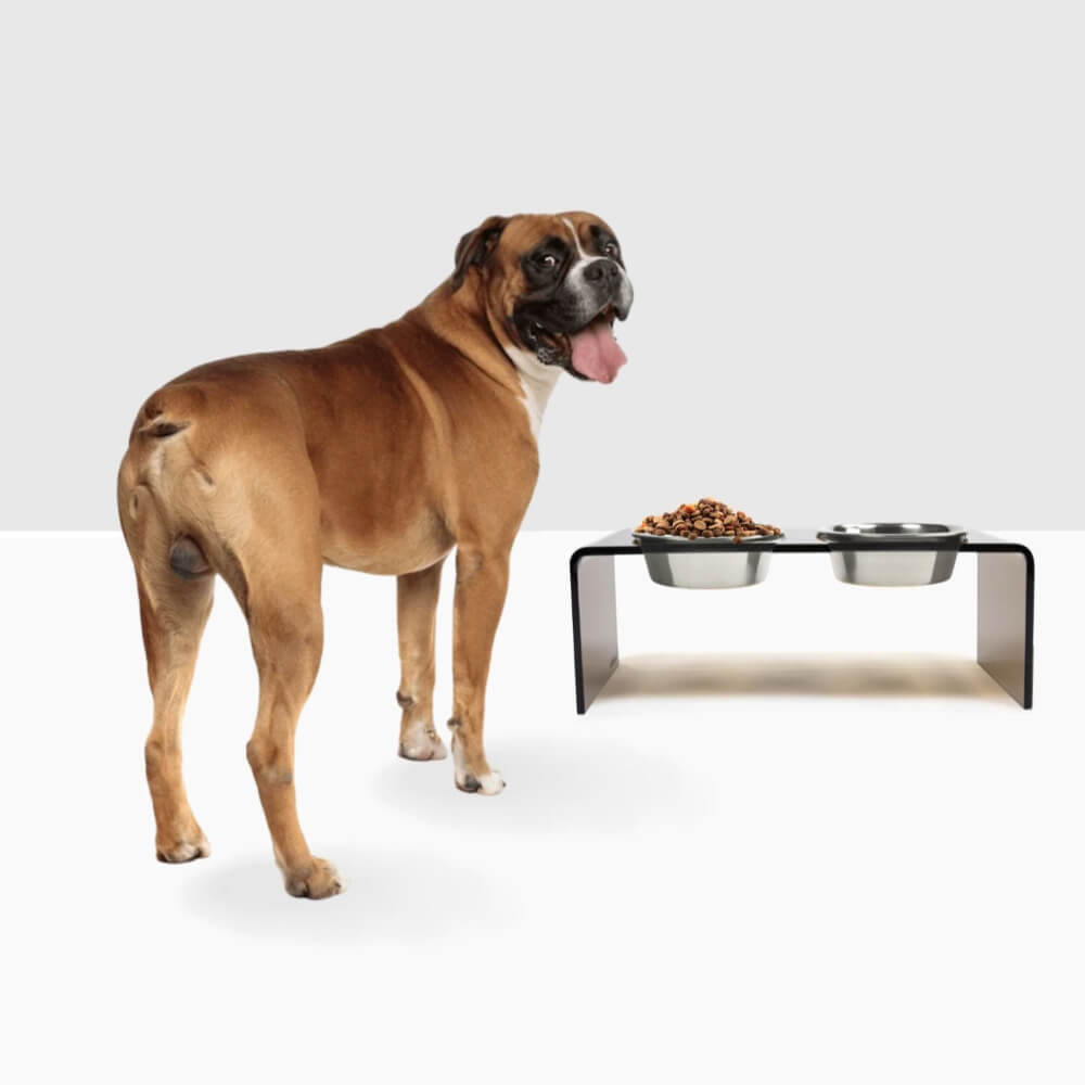 Medium Bronze Feeder