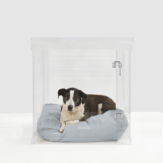 Medium Crate (Silver Latch)