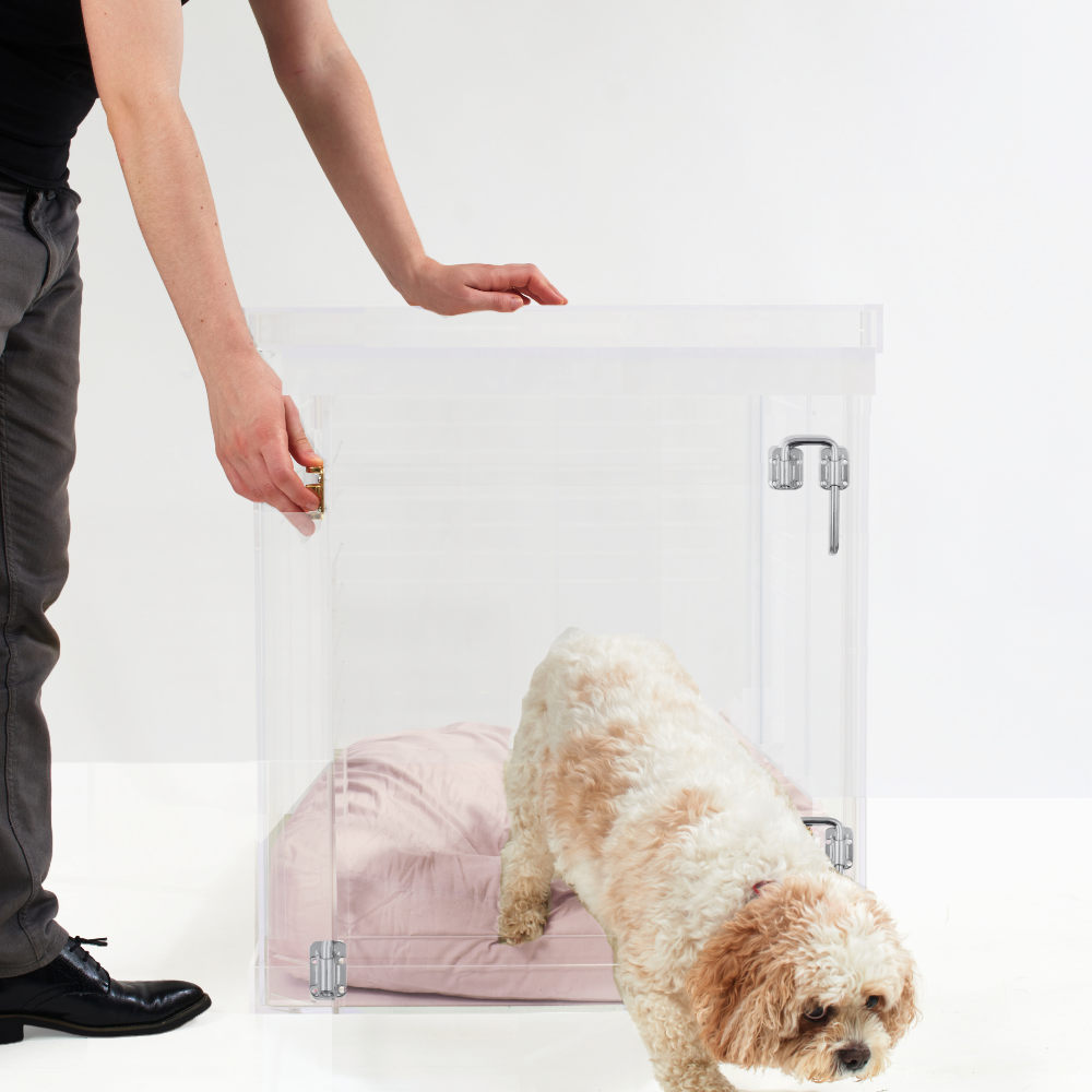 Image showcasing Clear Dog Crate to Gate: Medium with Silver Latch| Hiddin