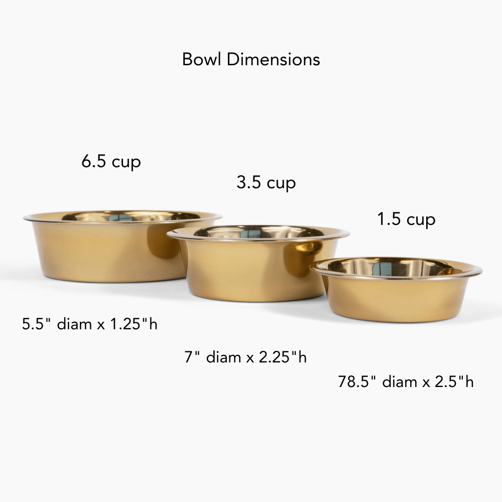 Hiddin Metal Pet Bowls, Set of 2