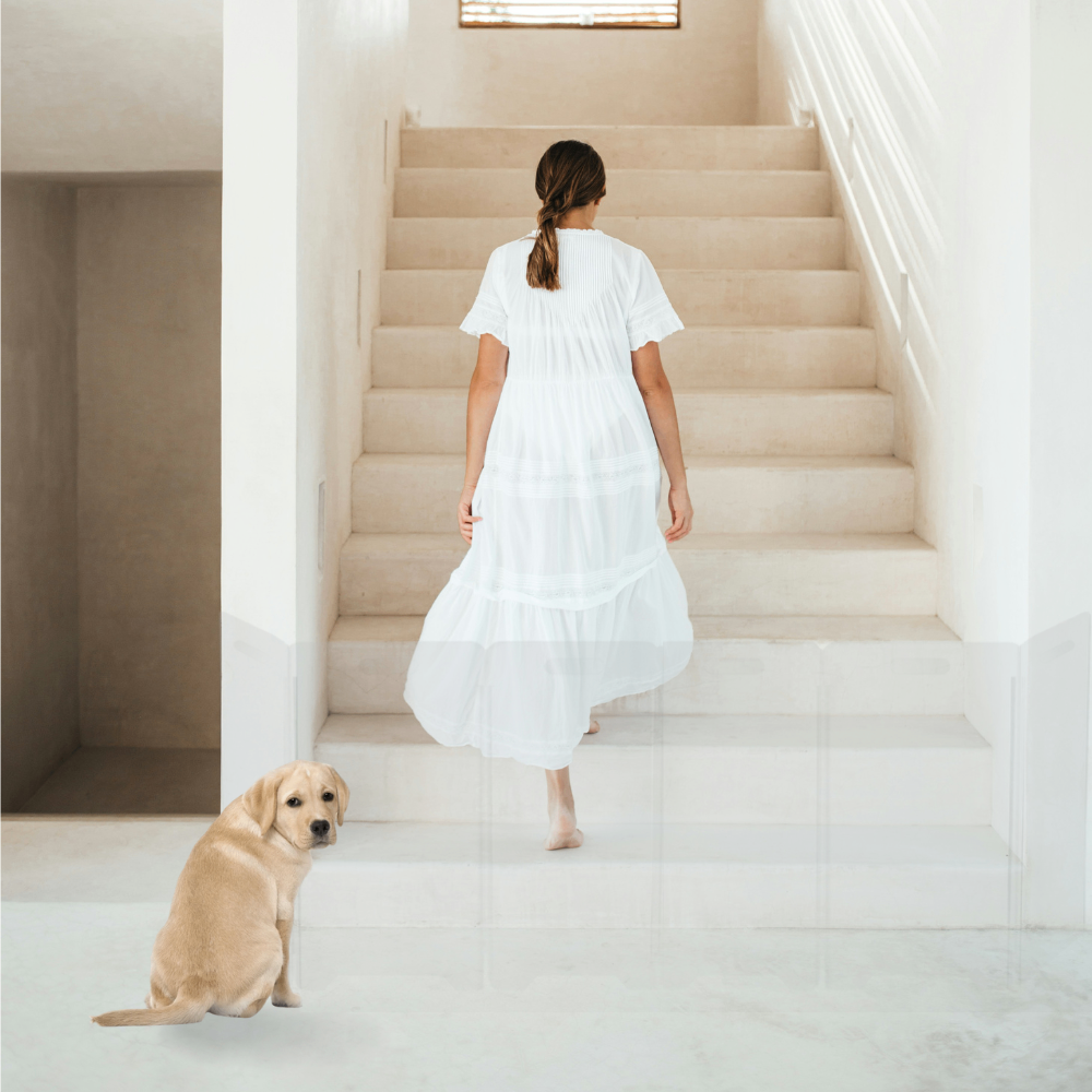 Clear Front Pet Gate