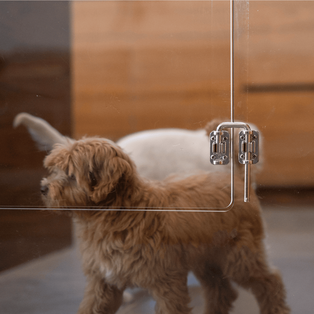 Panel Gate with Door (Wall Attached)