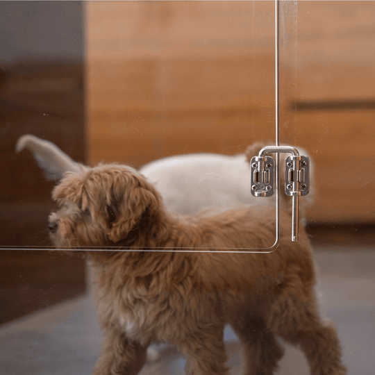 Panel Gate with Door (Wall Attached)