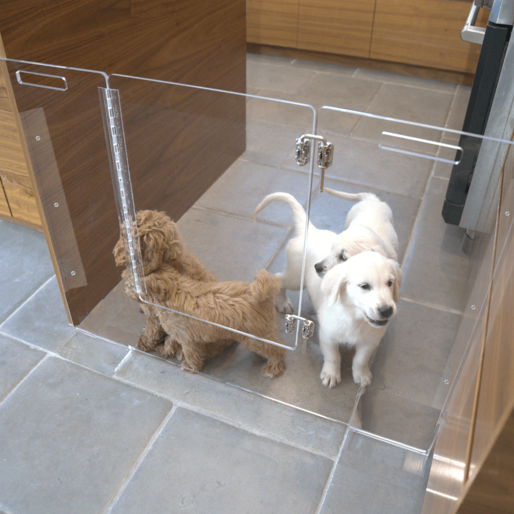 Panel Gate with Door (Wall Attached)