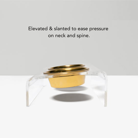 Slant Gold Feeder