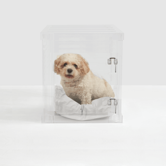 Small Crate (Silver Latch)