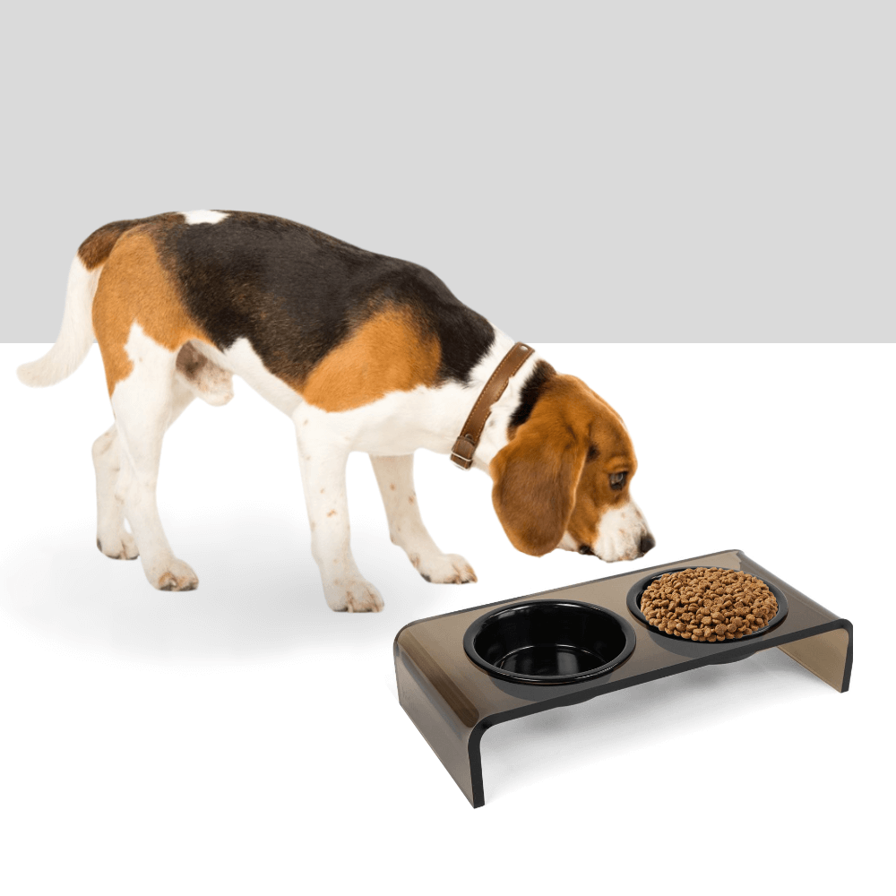 Small Bronze Feeder