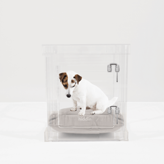 Small Crate (Silver Latch)