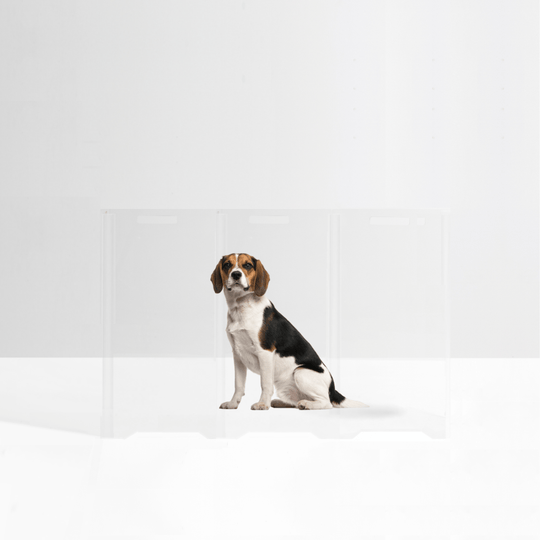 Clear Front Pet Gate