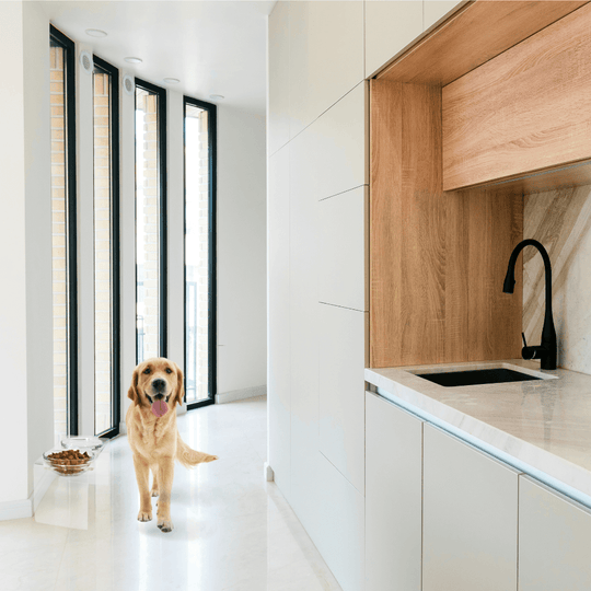 Tall Glass Bowl Feeder