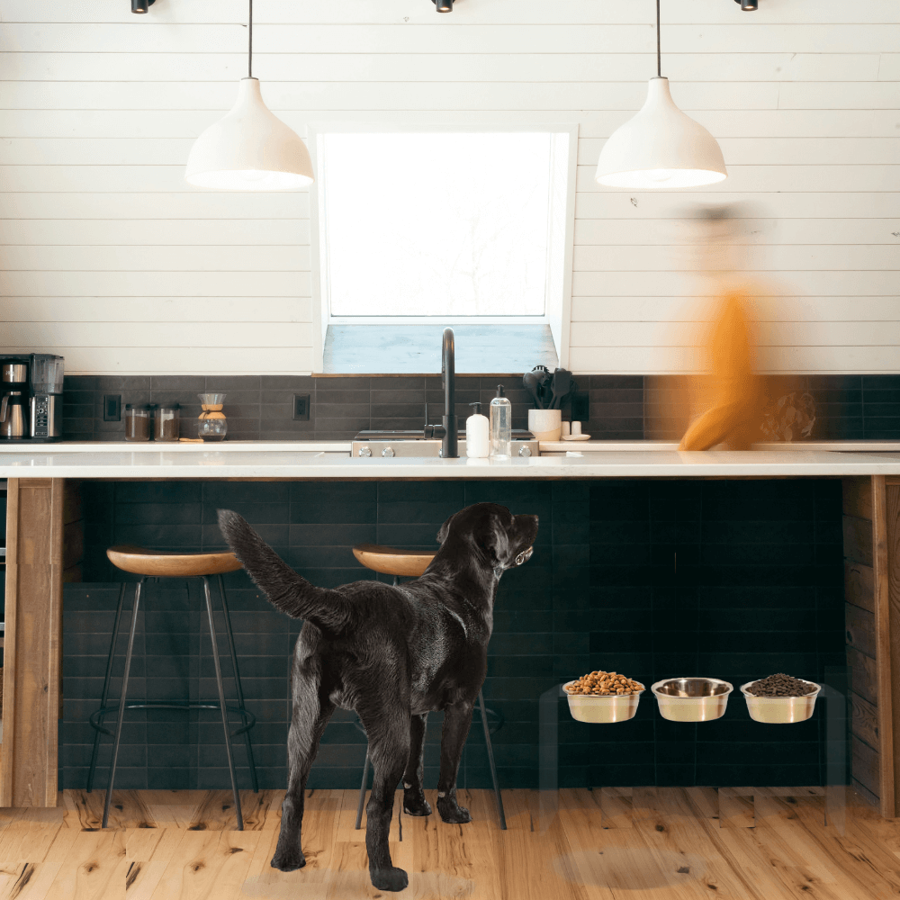 Tall Triple Gold Feeder