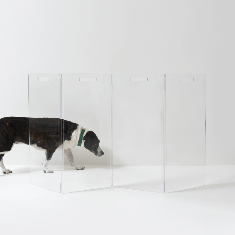 DingDing 旺 PET クリア DingDing 旺 PET クリア