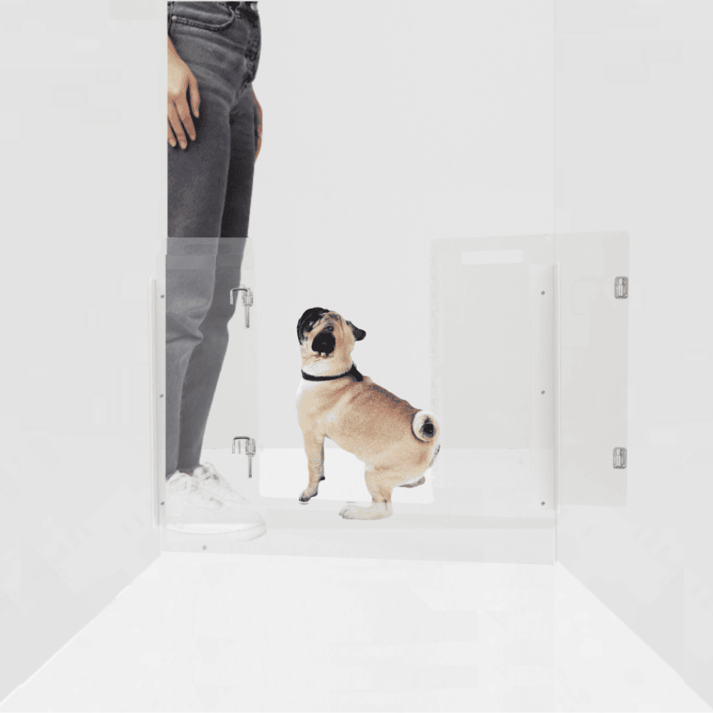 Panel Gate with Door (Wall Attached)