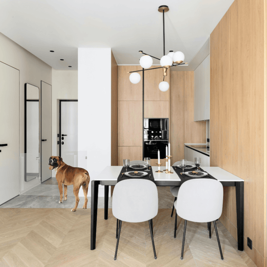 Panel Gate with Door (Wall Attached)