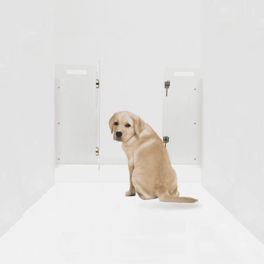 Panel Gate with Door (Wall Attached)