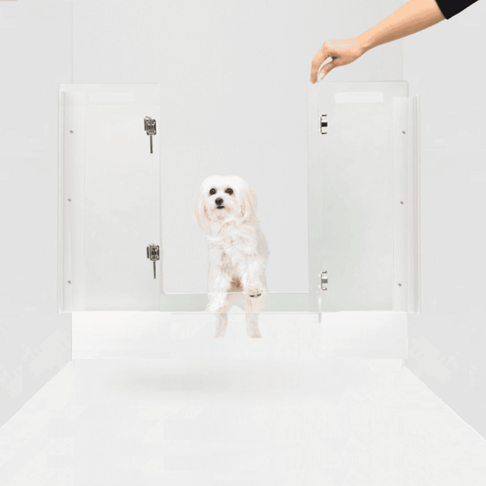 Panel Gate with Door (Wall Attached)