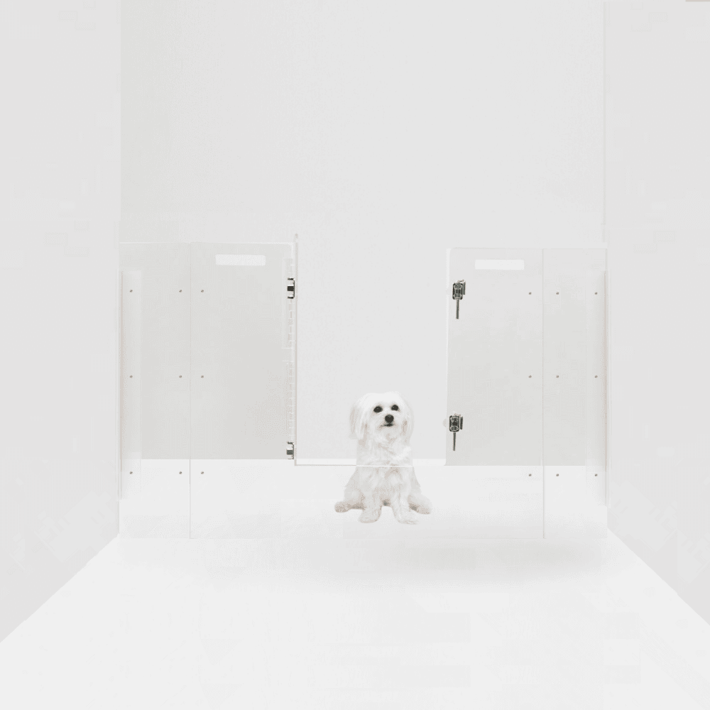 Panel Gate with Door (Wall Attached)