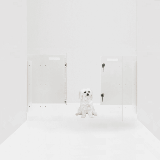 Panel Gate with Door (Wall Attached)