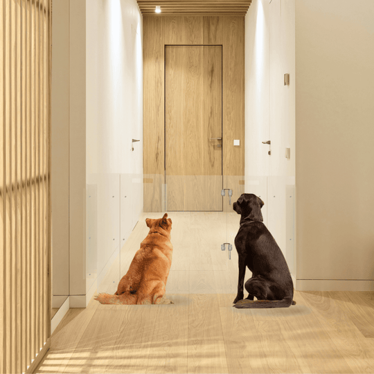 Panel Gate with Door (Wall Attached)