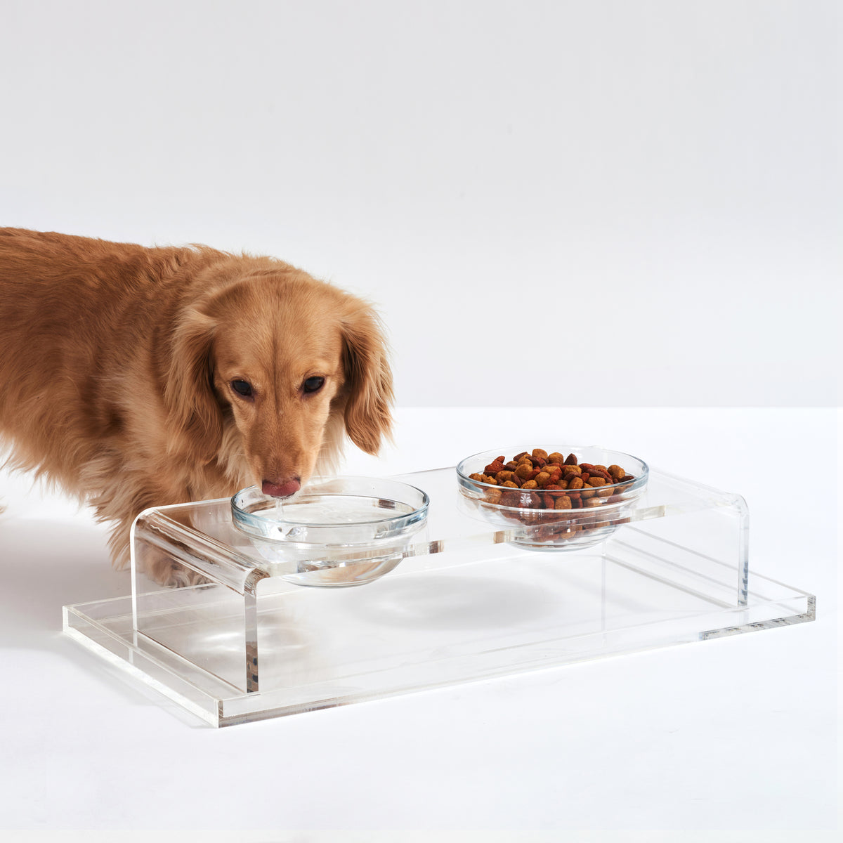 Small Dog & Cat Clear Acrylic Double Bowl Pet Feeder by Hiddin