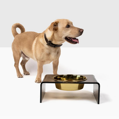 Dog with Bronze Single Bowl Pet Feeder