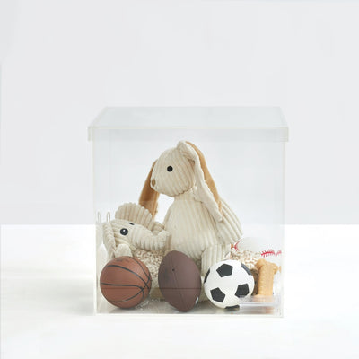 Pet Toys in Clear Storage Box with Separate Top
