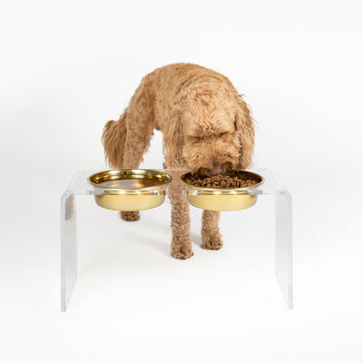 Large Clear Double Pet Bowl Feeder with Gold Bowls