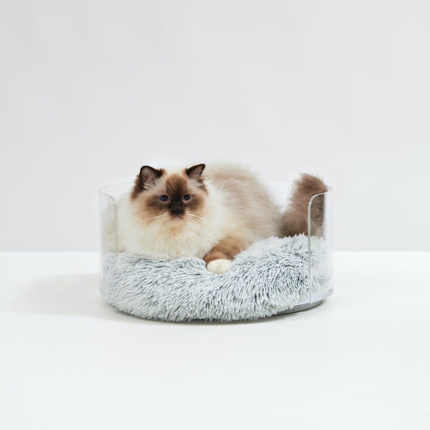 Hauspanther Feature: Crystal Clear Luxe Cat Bed from Hiddin