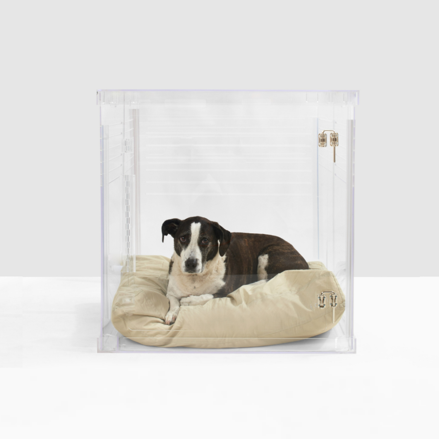 Huff Post Feature: 11 Dog Crates So Stylish, You’ll Be Excited to Display Them