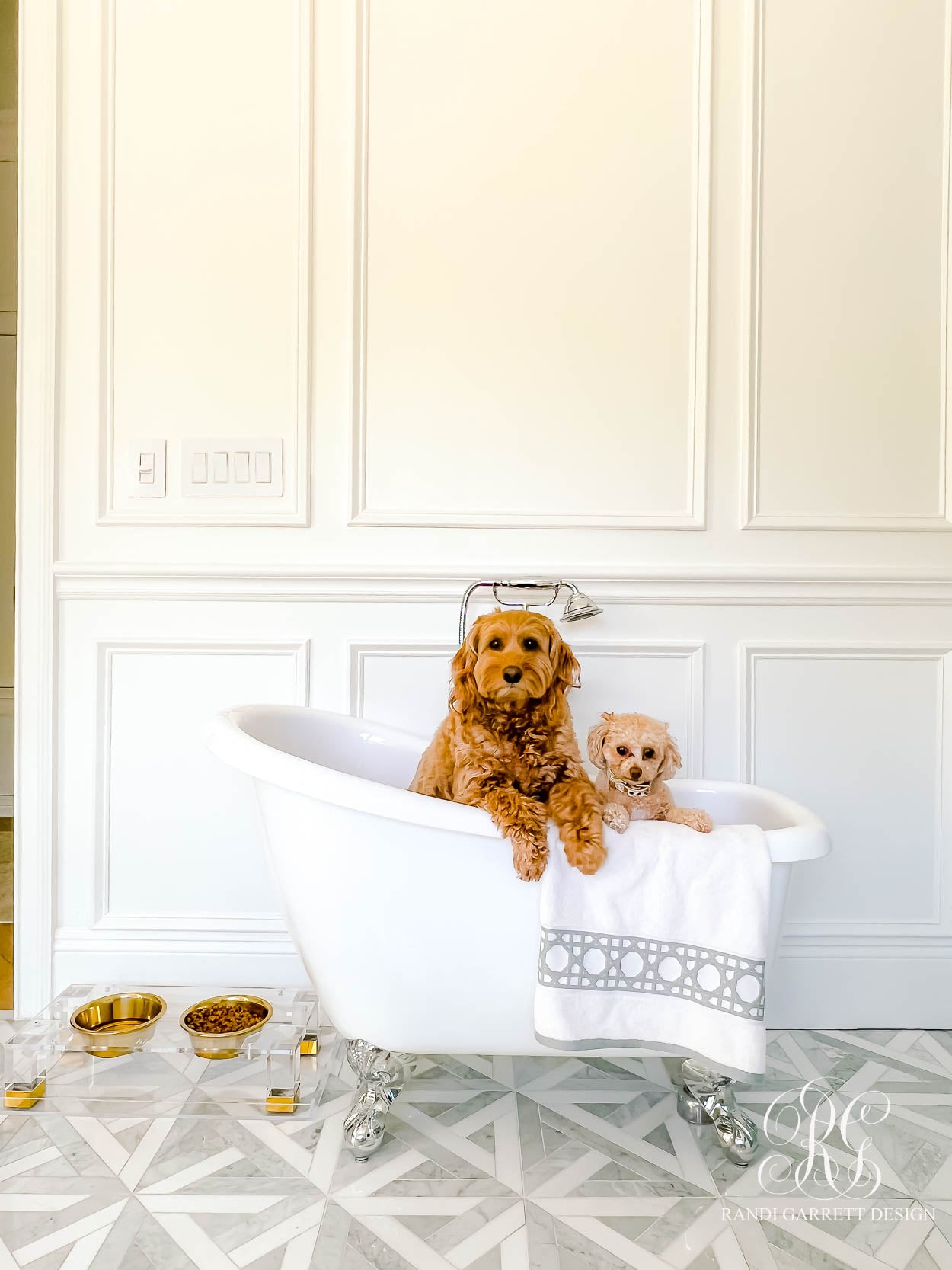 Randi Garrett Design Feature: Designer Pet Products for Your Home