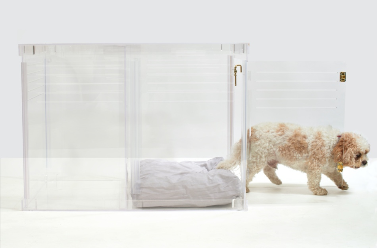 Hey Djangles Feature: 12+ Clear Dog Pens and Crates That Will Make You Do a Double-Take!