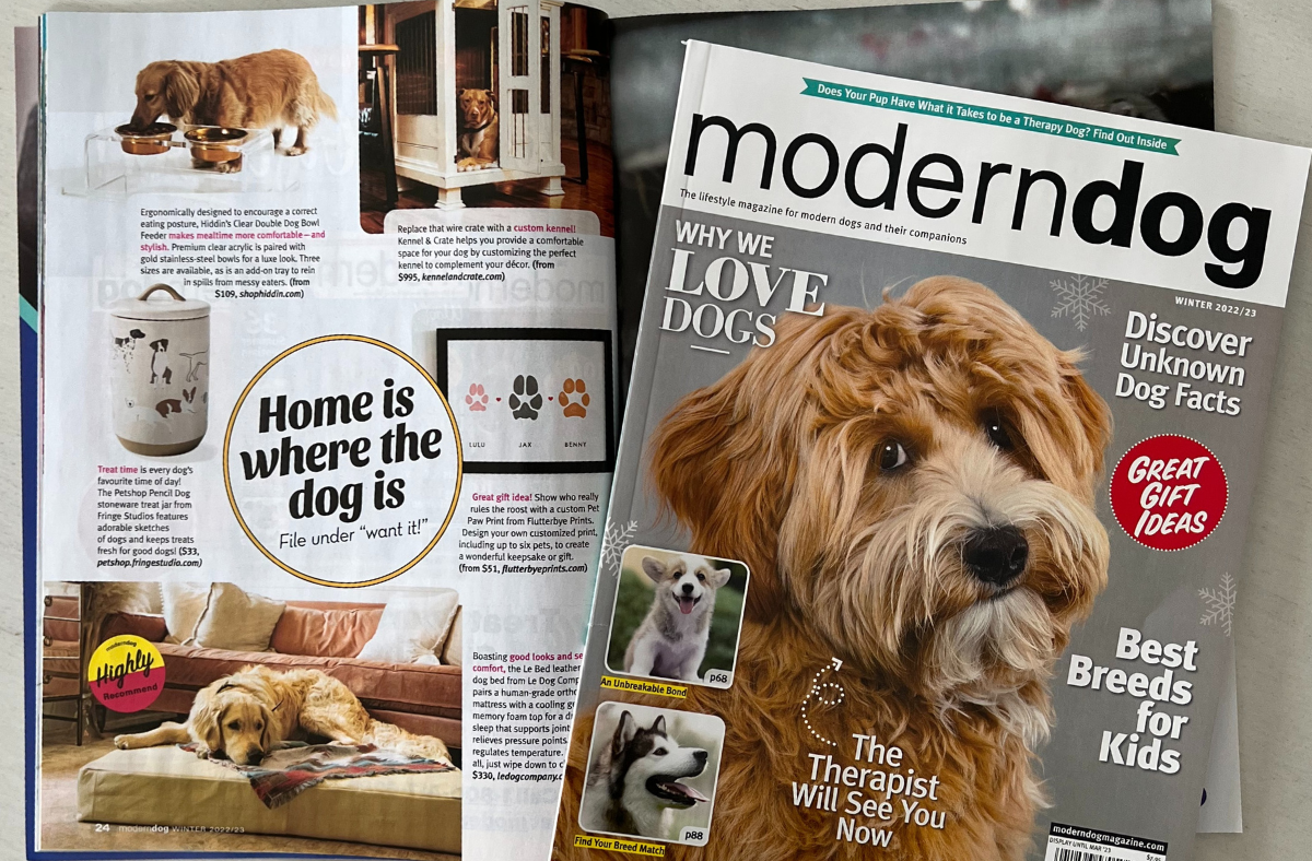 Modern Dog Feature: Home Is Where the Dog Is