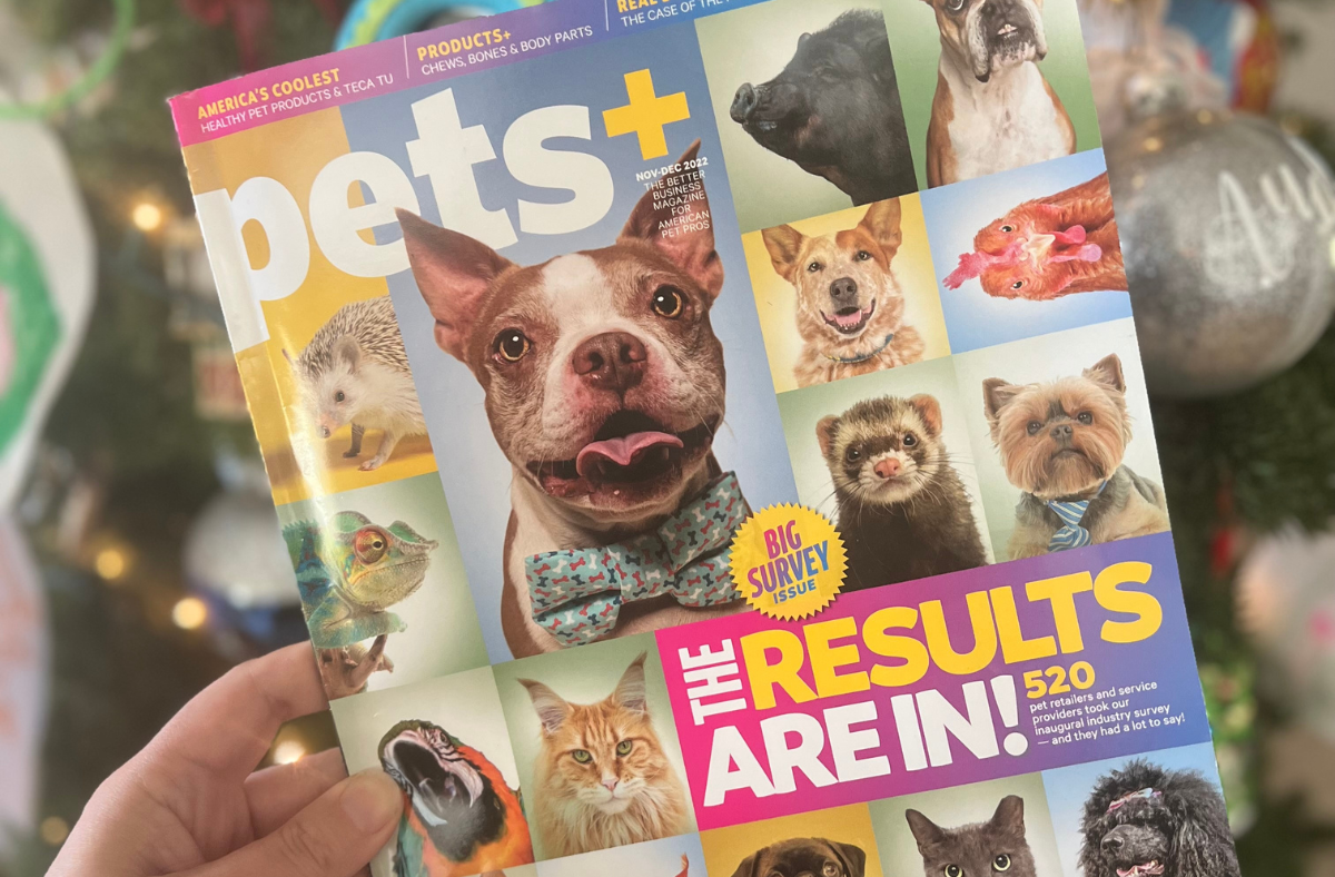 Pets+ Magazine Feature: “So Stylish” for Your Pets!