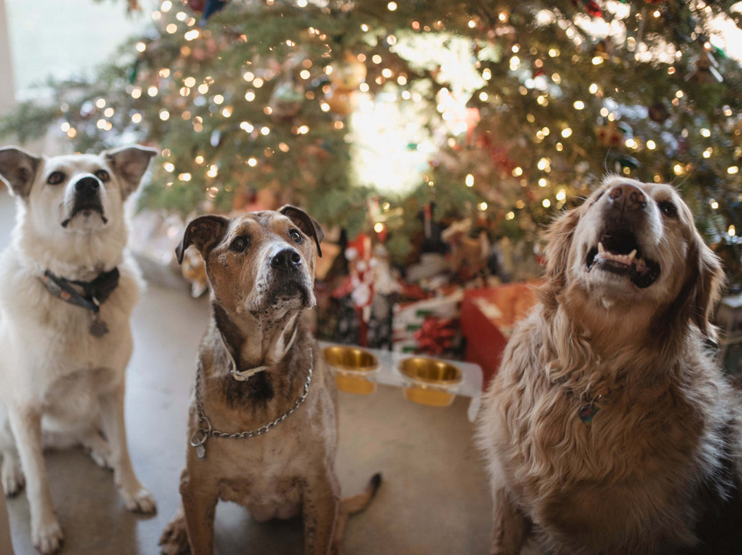 Design NJ Feature: Style New Jersey's Holiday Gift Guide