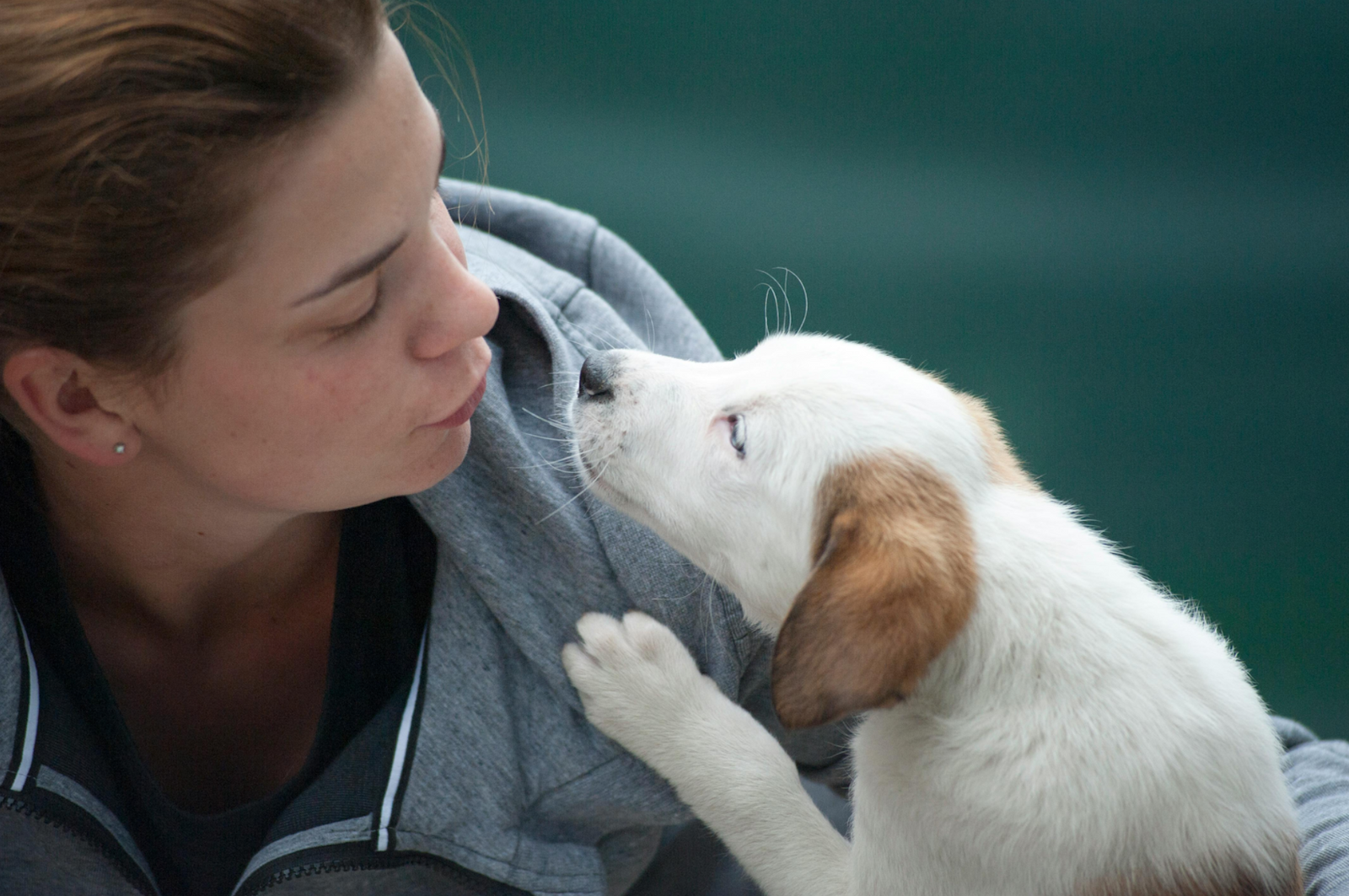 How Long Can a Puppy Be Left Alone