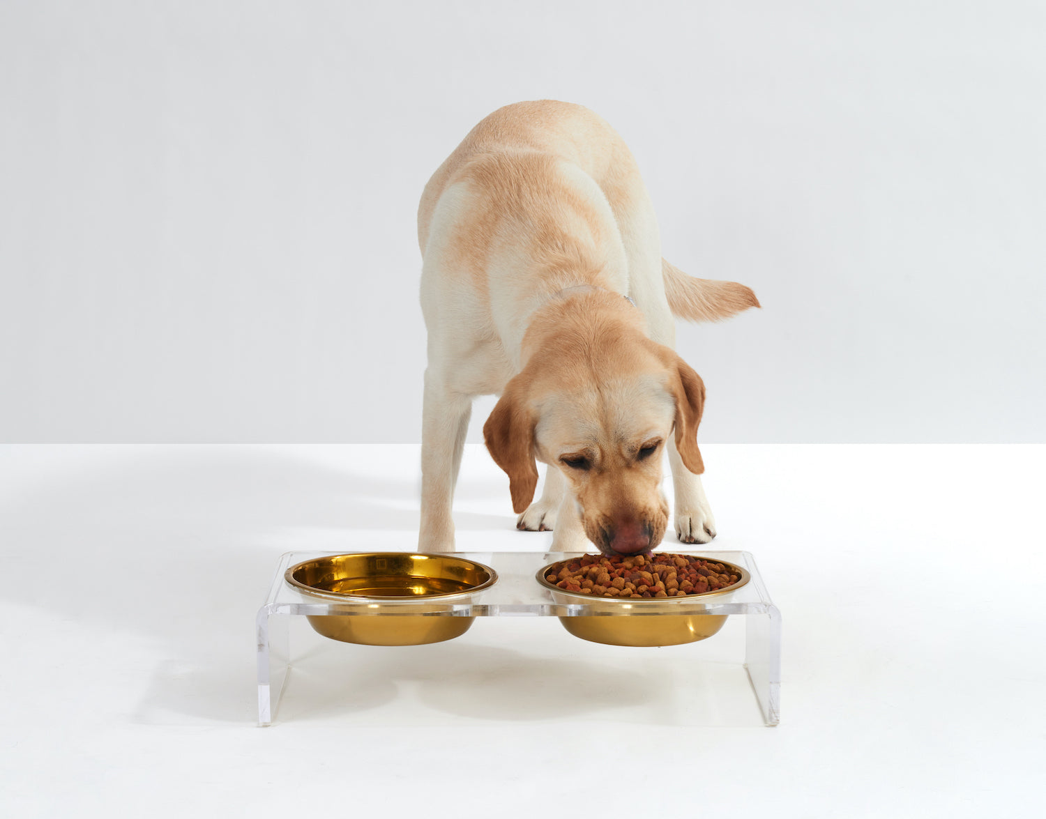 Architectural Digest Feature: Your Dog Deserves a Better Bowl