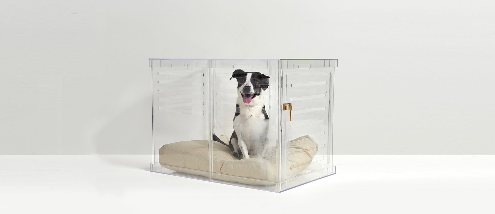 Clear Dog Crate