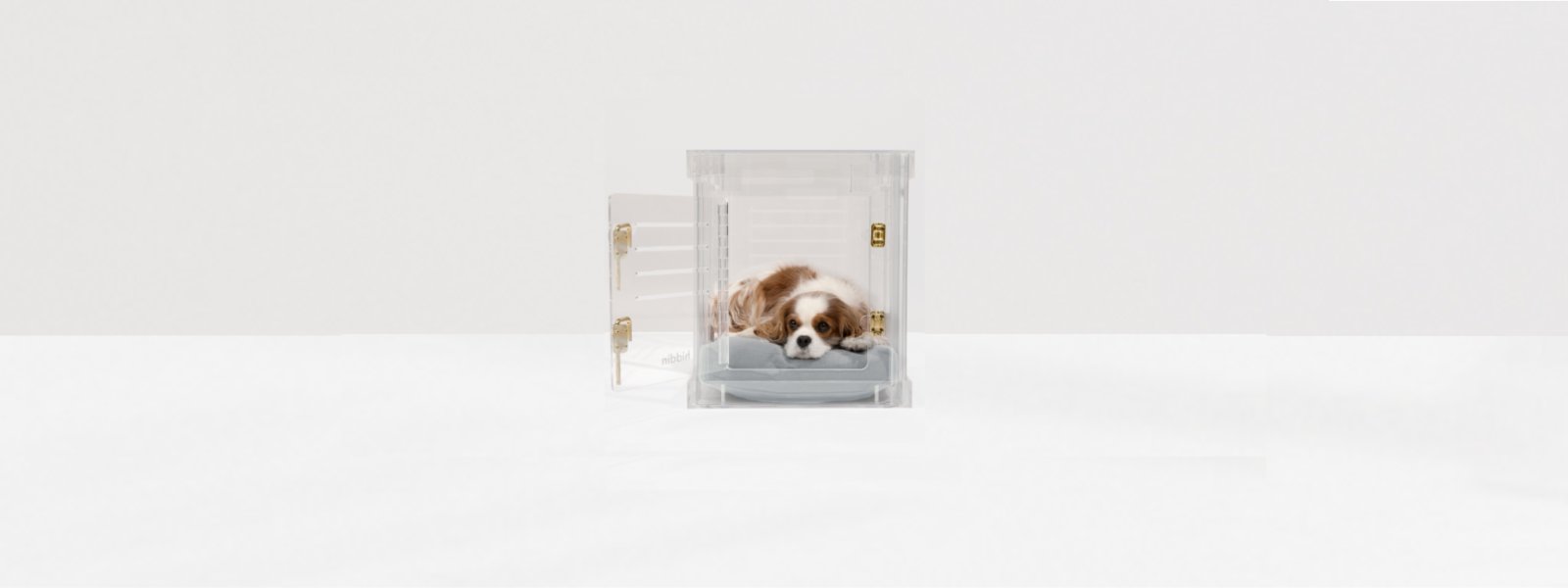 Clear Dog Crate