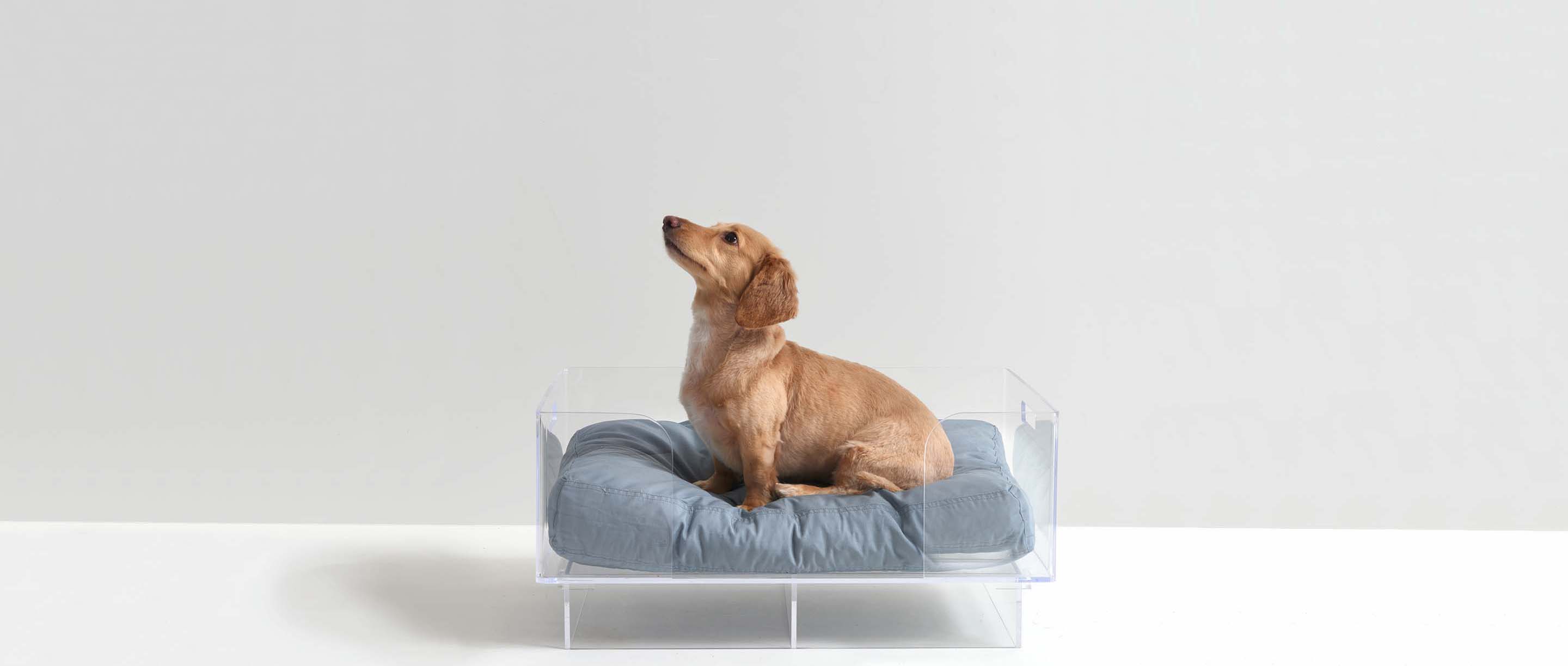 Clear Acrylic Dog Bed | Large Rectangular Dog Beds | Hiddin