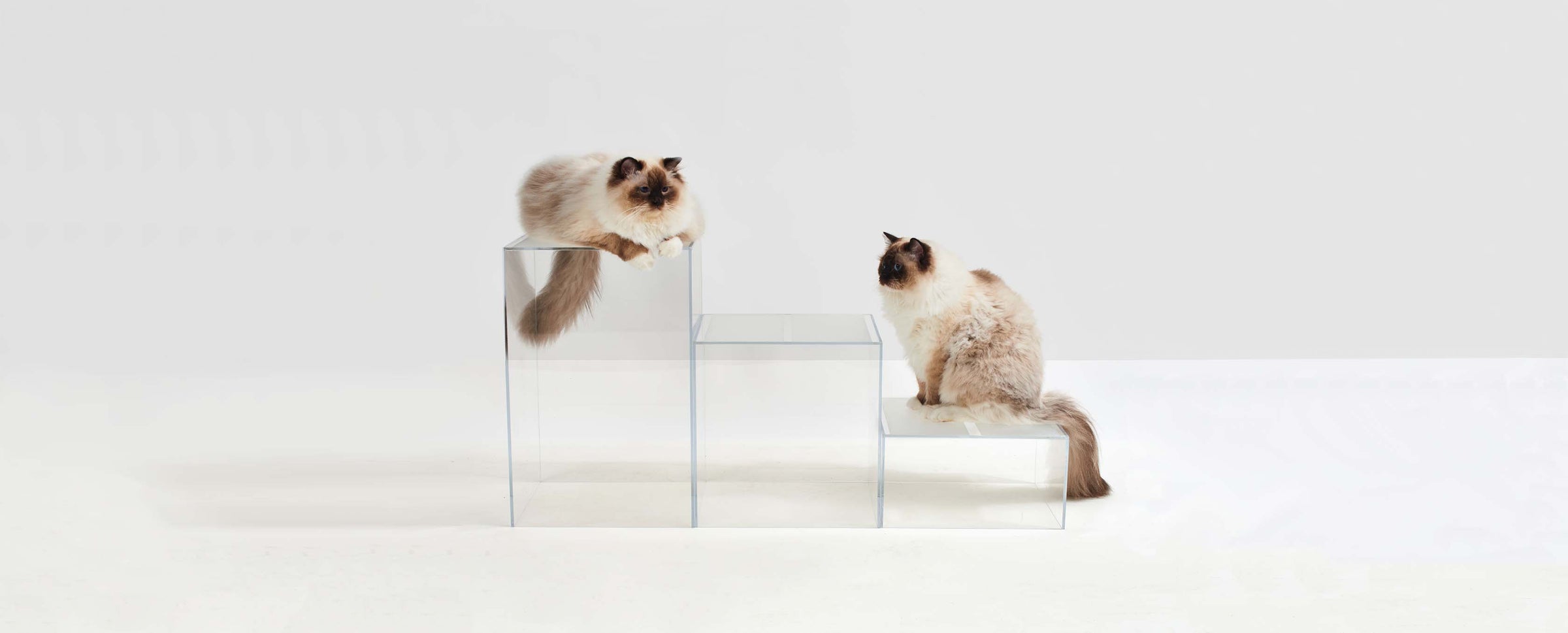 Acrylic Pet Stairs