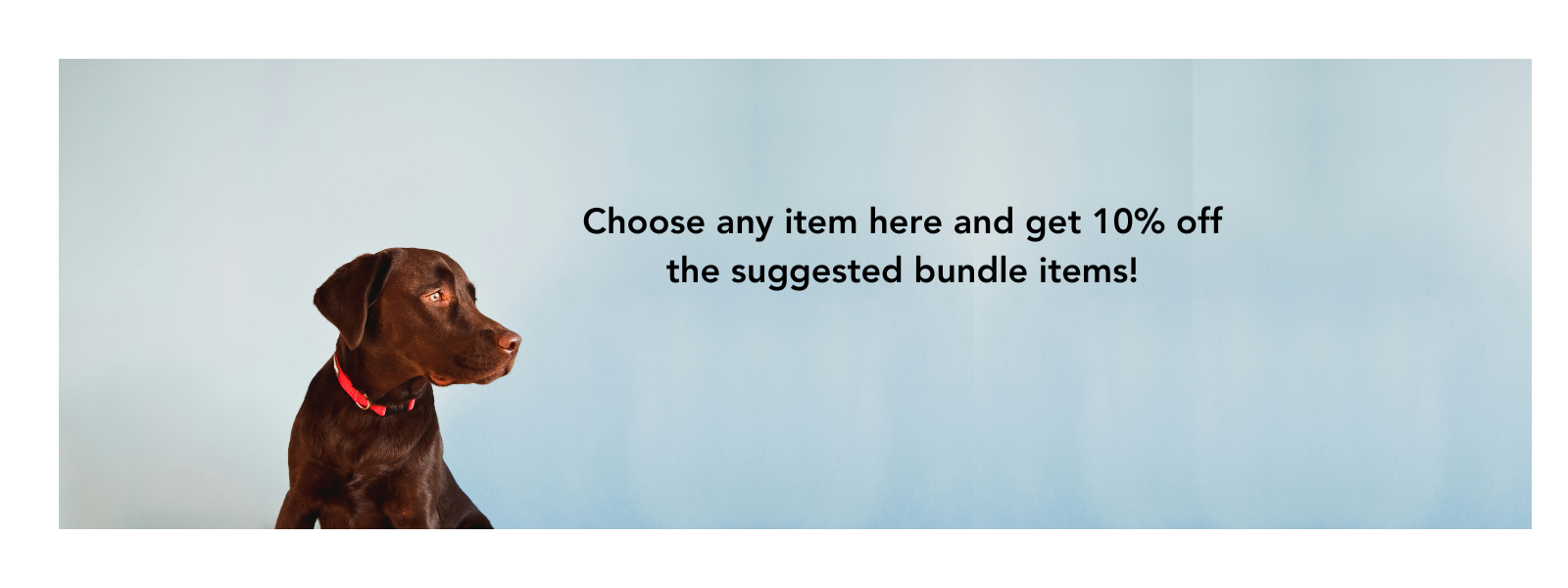 Bundle & Save