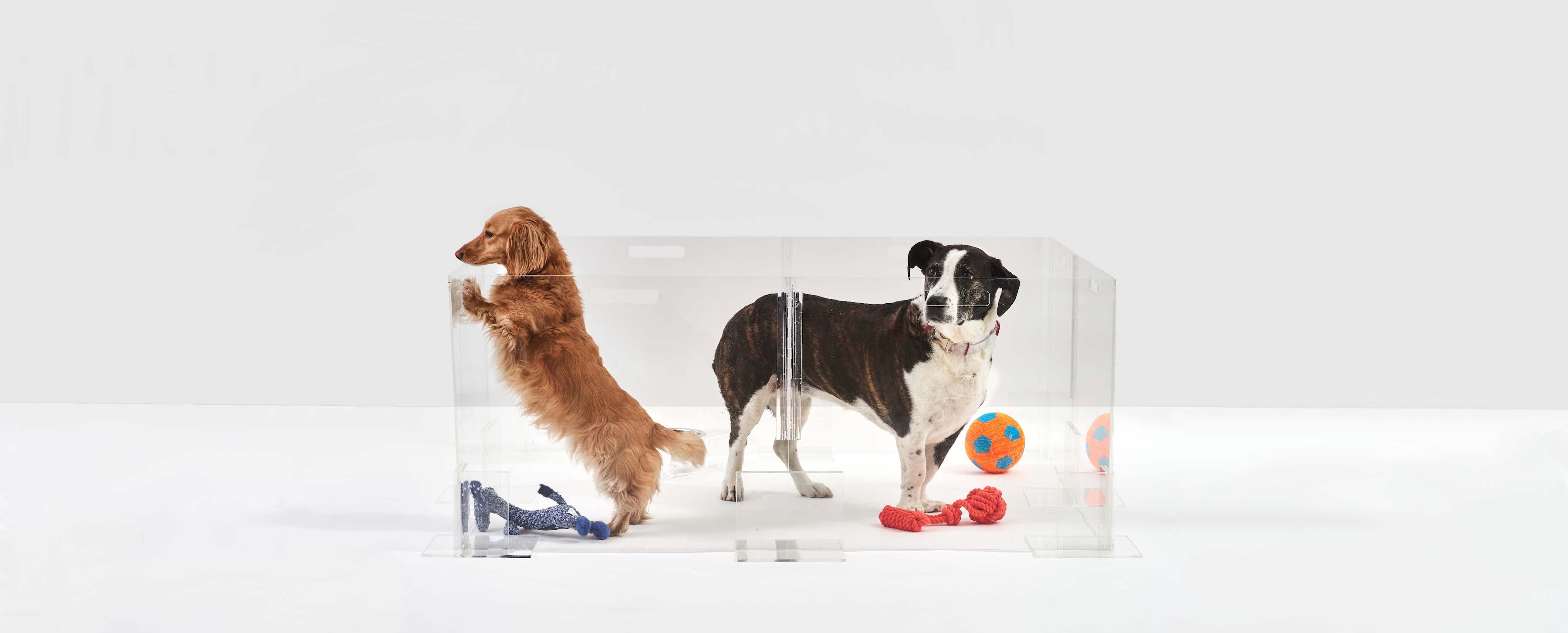 Clear Acrylic Dog Playpen