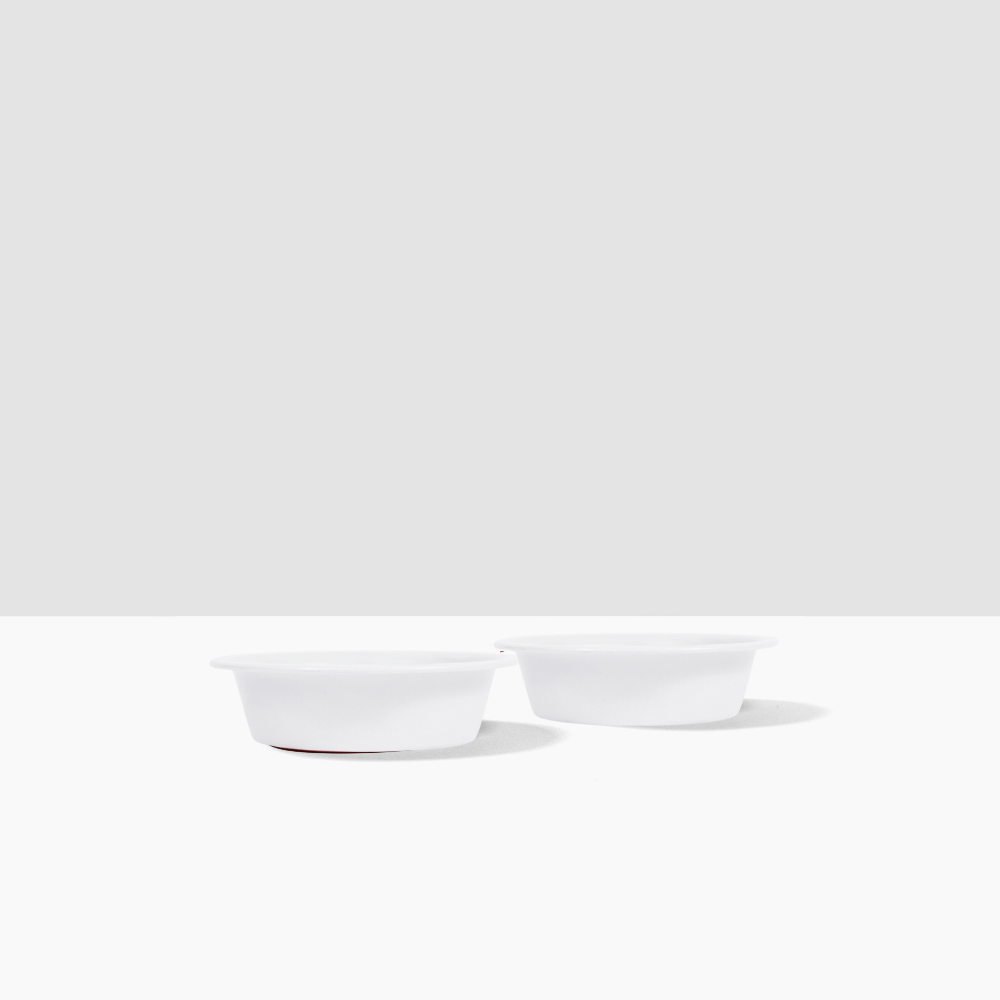 Hiddin Metal Pet Bowls, Set of 2 | Options