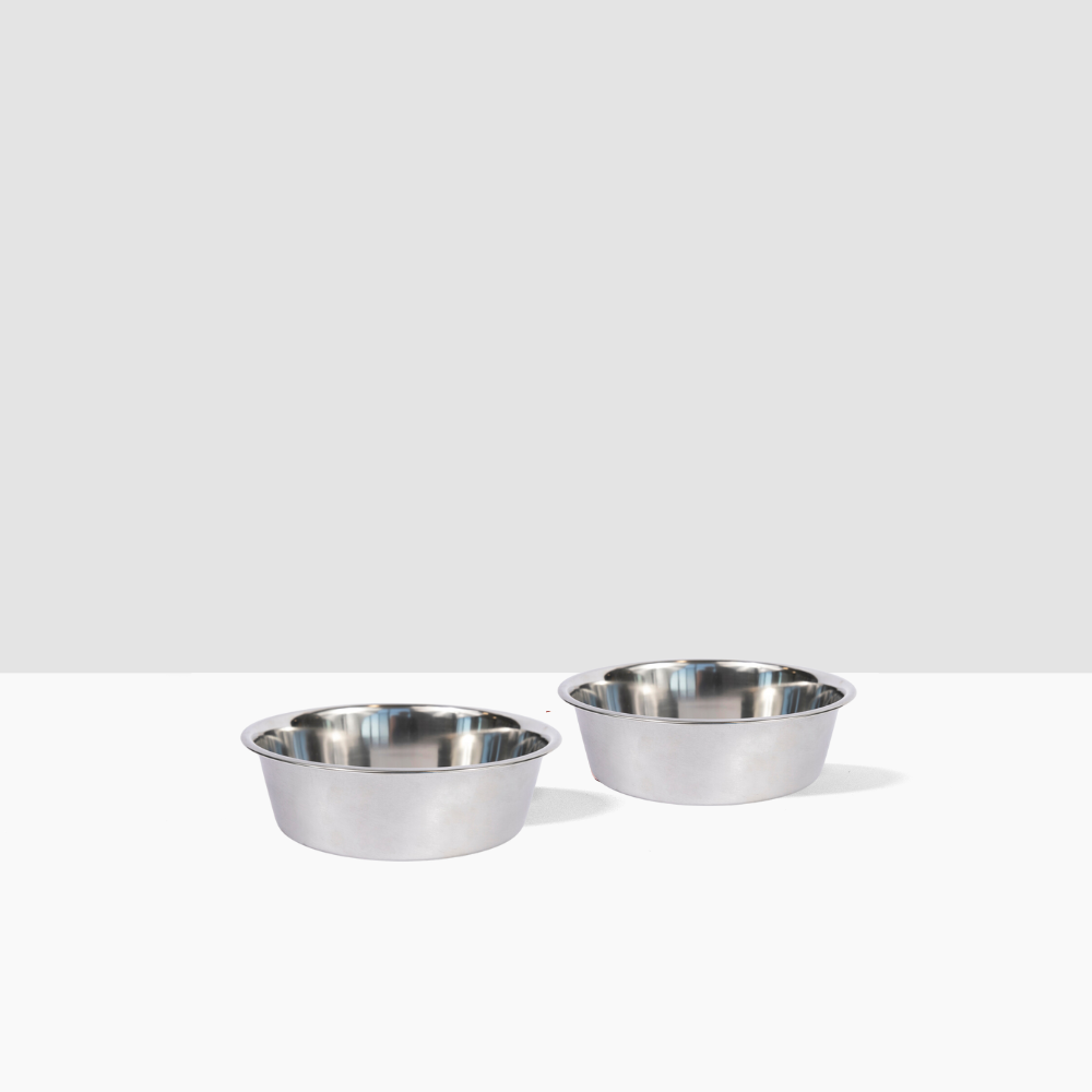 Hiddin Metal Pet Bowls, Set of 2 | Options